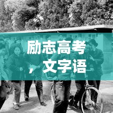 囊萤映雪 第7页