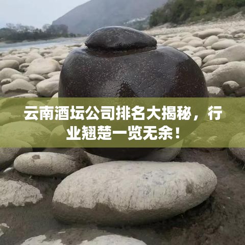 云南酒坛公司排名大揭秘，行业翘楚一览无余！