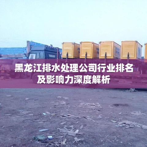 黑龙江排水处理公司行业排名及影响力深度解析