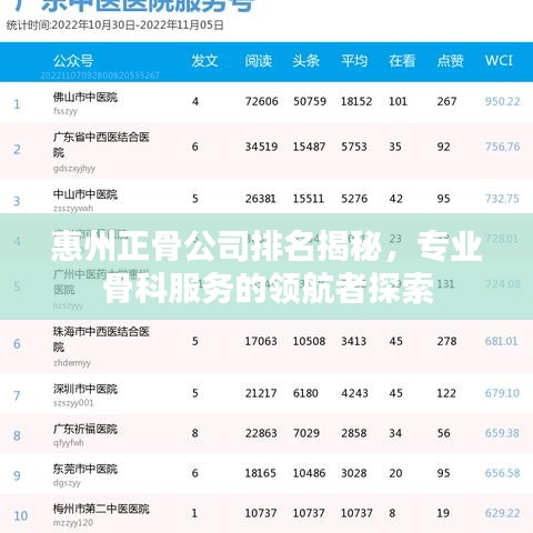 惠州正骨公司排名揭秘，专业骨科服务的领航者探索