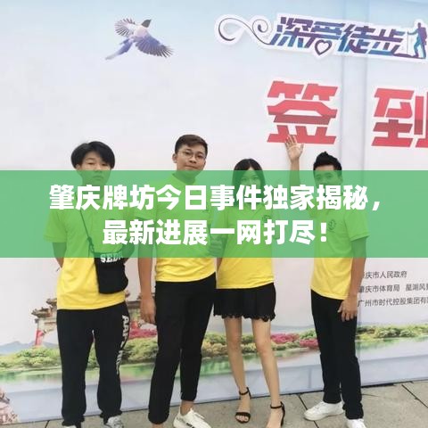 肇庆牌坊今日事件独家揭秘，最新进展一网打尽！