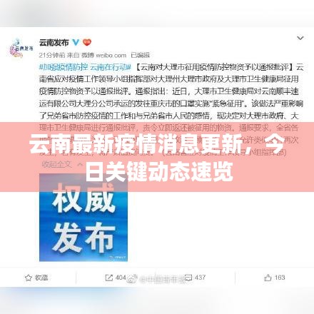 云南最新疫情消息更新，今日关键动态速览
