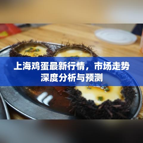 上海鸡蛋最新行情，市场走势深度分析与预测