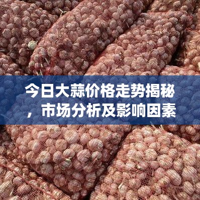今日大蒜价格走势揭秘,市场分析及影响因素探讨