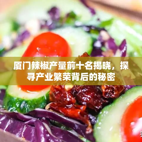 厦门辣椒产量前十名揭晓,探寻产业繁荣背后的秘密