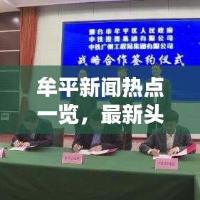 牟平新闻热点一览，最新头条新闻概览