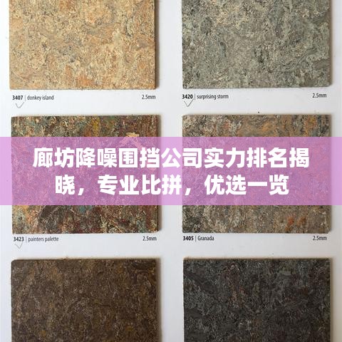 廊坊降噪围挡公司实力排名揭晓，专业比拼，优选一览