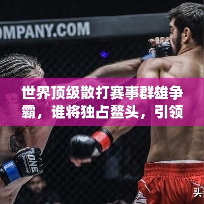 世界顶级散打赛事群雄争霸，谁将独占鳌头，引领风骚？