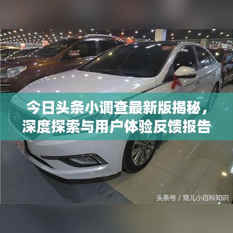 今日头条小调查最新版揭秘，深度探索与用户体验反馈报告