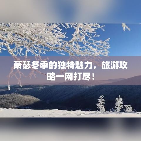 萧瑟冬季的独特魅力，旅游攻略一网打尽！