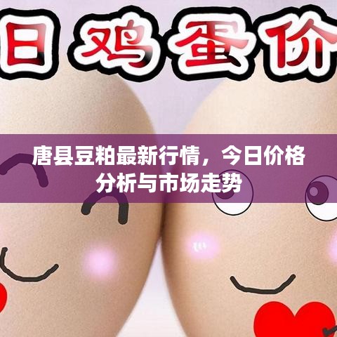 唐县豆粕最新行情,今日价格分析与市场走势