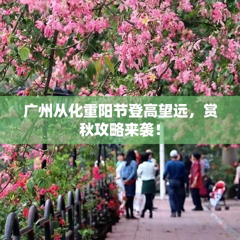 广州从化重阳节登高望远,赏秋攻略来袭!