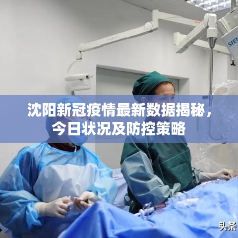沈阳新冠疫情最新数据揭秘，今日状况及防控策略