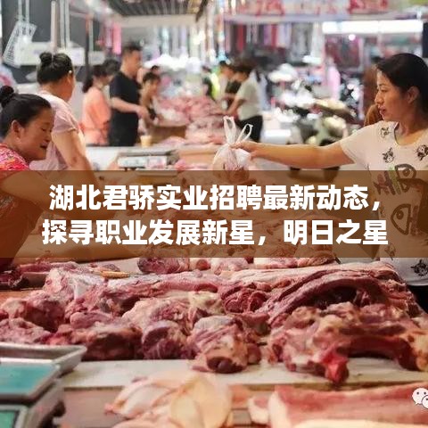 湖北君骄实业招聘最新动态，探寻职业发展新星，明日之星等你来挑战！