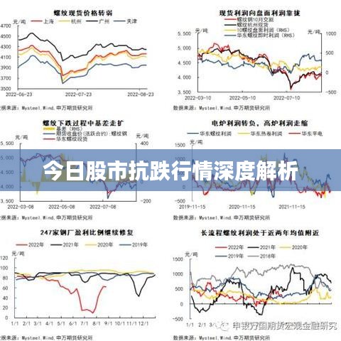 今日股市抗跌行情深度解析