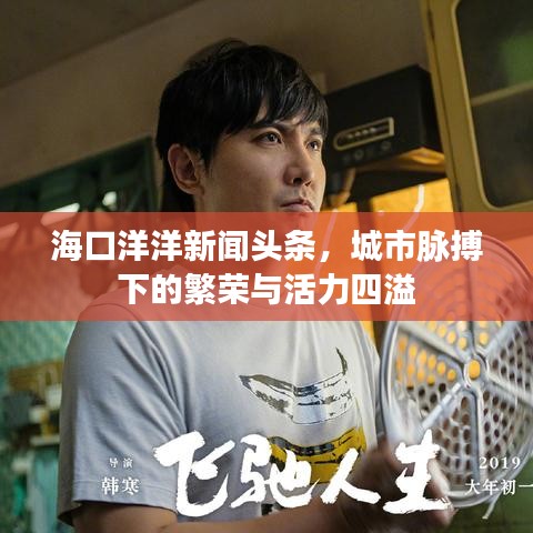 海口洋洋新闻头条，城市脉搏下的繁荣与活力四溢