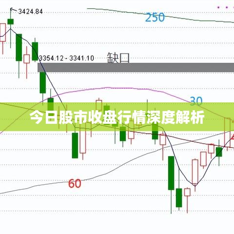 今日股市收盘行情深度解析