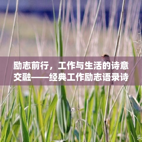 励志前行，工作与生活的诗意交融——经典工作励志语录诗句