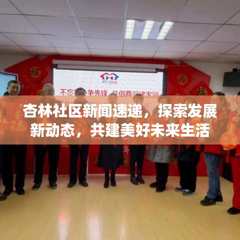 杏林社区新闻速递，探索发展新动态，共建美好未来生活