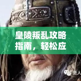 皇陵叛乱攻略指南，轻松应对，助你称霸皇陵！