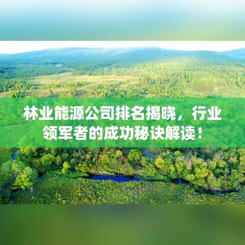 林业能源公司排名揭晓，行业领军者的成功秘诀解读！