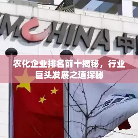 农化企业排名前十揭秘，行业巨头发展之道探秘