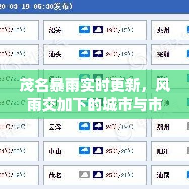 茂名暴雨实时更新，风雨交加下的城市与市民行动全景展现