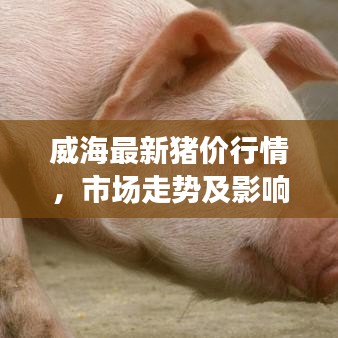 威海最新猪价行情，市场走势及影响因素深度解析