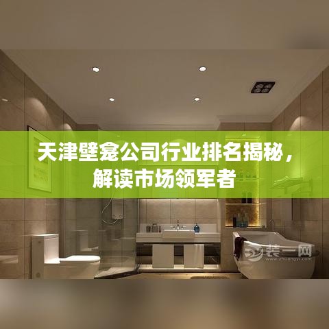 天津壁龛公司行业排名揭秘，解读市场领军者