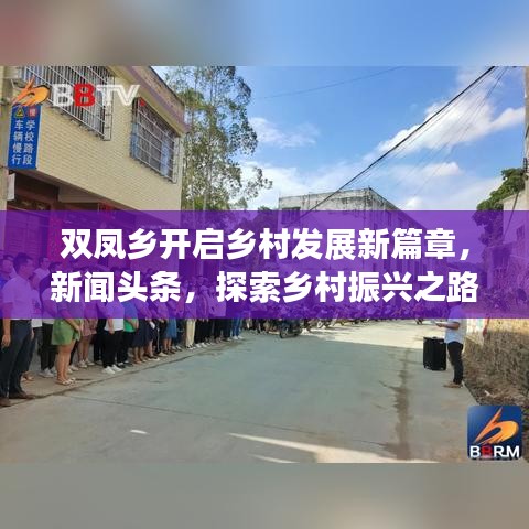 双凤乡开启乡村发展新篇章，新闻头条，探索乡村振兴之路
