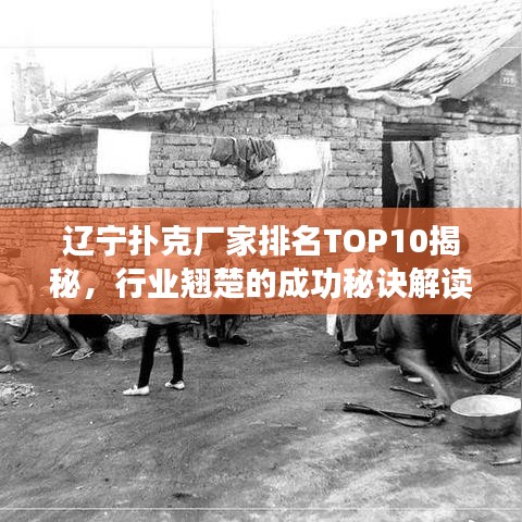 辽宁扑克厂家排名TOP10揭秘，行业翘楚的成功秘诀解读