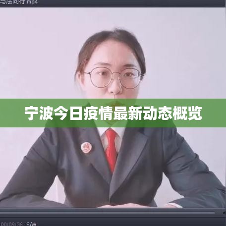 宁波今日疫情最新动态概览