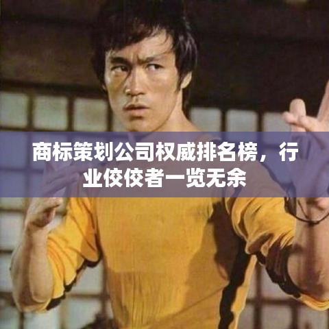 商标策划公司权威排名榜，行业佼佼者一览无余