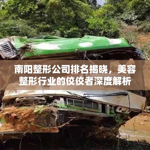 南阳整形公司排名揭晓,美容整形行业的佼佼者深度解析