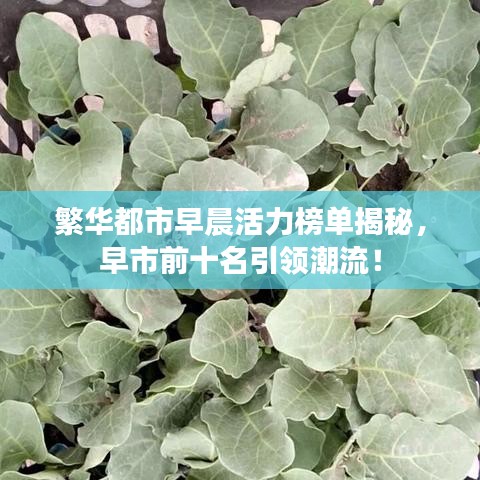 繁华都市早晨活力榜单揭秘，早市前十名引领潮流！