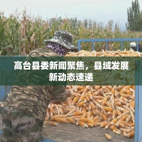 高台县委新闻聚焦，县域发展新动态速递