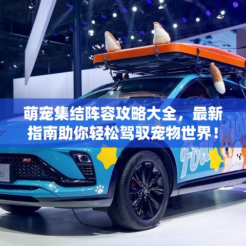 萌宠集结阵容攻略大全，最新指南助你轻松驾驭宠物世界！