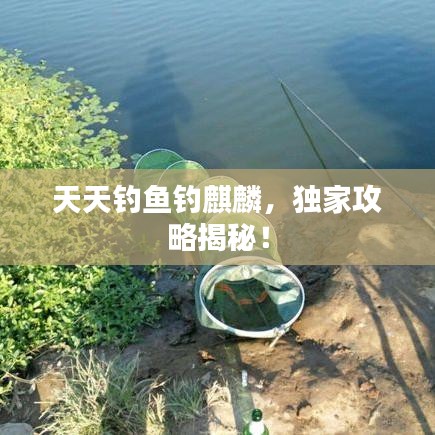 天天钓鱼钓麒麟，独家攻略揭秘！