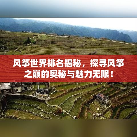 风筝世界排名揭秘，探寻风筝之巅的奥秘与魅力无限！