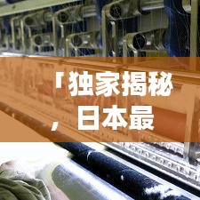 「独家揭秘,日本最搞笑企业排行榜,令人捧腹大笑的公司风采大放送」