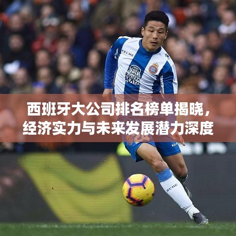 西班牙大公司排名榜单揭晓，经济实力与未来发展潜力深度解析