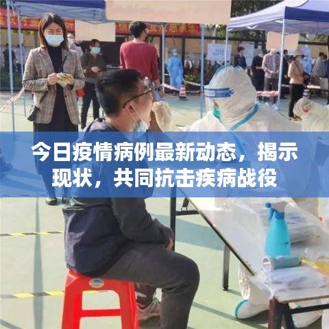 今日疫情病例最新动态，揭示现状，共同抗击疾病战役
