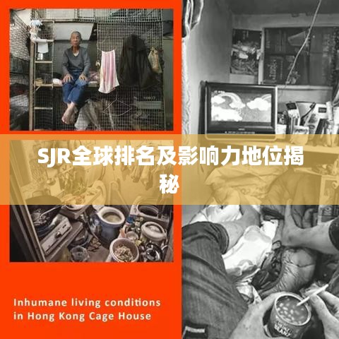 SJR全球排名及影响力地位揭秘