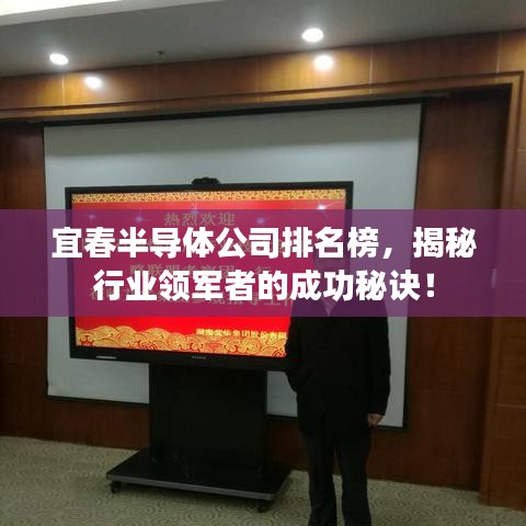 宜春半导体公司排名榜,揭秘行业领军者的成功秘诀!