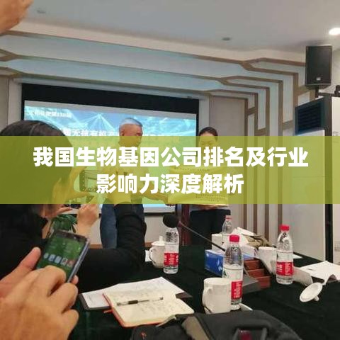 我国生物基因公司排名及行业影响力深度解析
