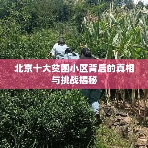 北京十大贫困小区背后的真相与挑战揭秘