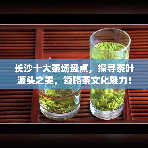长沙十大茶场盘点，探寻茶叶源头之美，领略茶文化魅力！