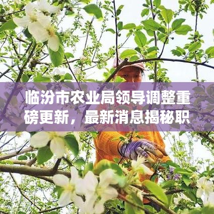 临汾市农业局领导调整重磅更新，最新消息揭秘职务变动