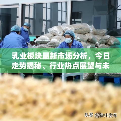 乳业板块最新市场分析，今日走势揭秘、行业热点展望与未来趋势预测