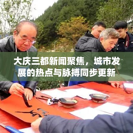 大庆三都新闻聚焦，城市发展的热点与脉搏同步更新